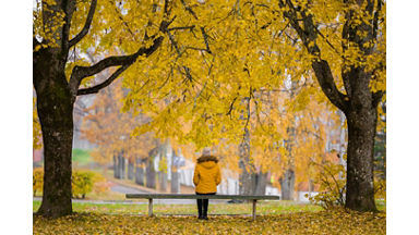 Young woman in yellow jacket sitting alone on bench between trees at beautiful day at park. Golden autumn. Thinking about life. Spending time alone in nature. Peaceful atmosphere. Back view.
